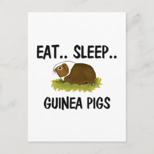 Eat Ssov GUINEA GRISAR Vykort