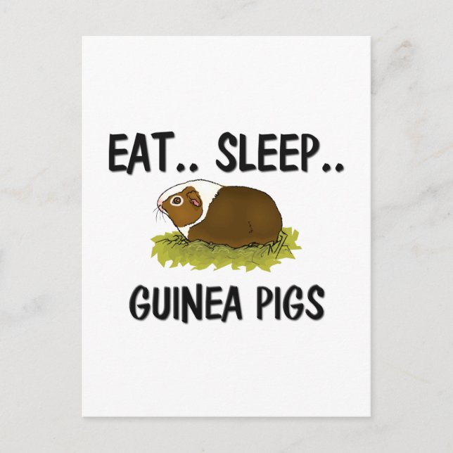 Eat Ssov GUINEA GRISAR Vykort (Framsida)
