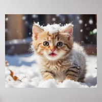 *~* Eating Snö Kattunge 5:4 Kitten Katt AP68