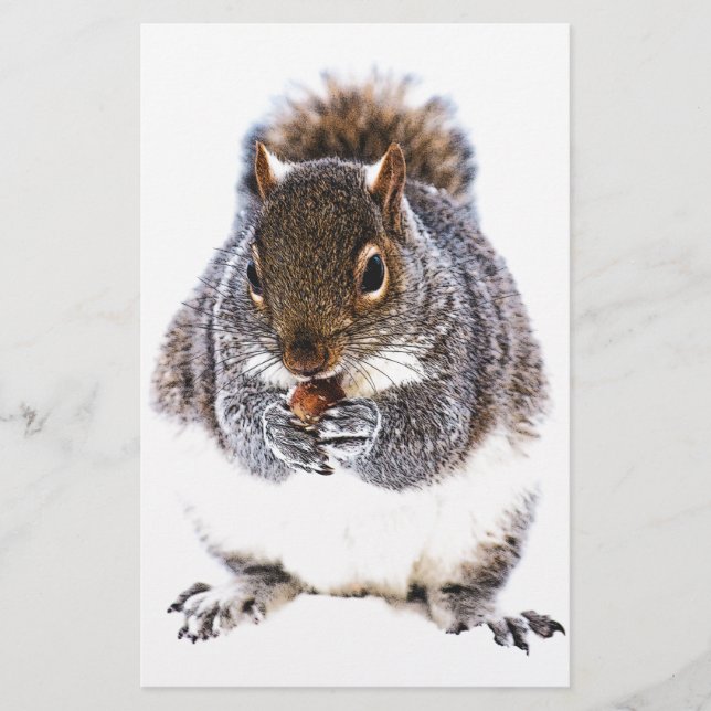 Eating Squirrel (Framsida)