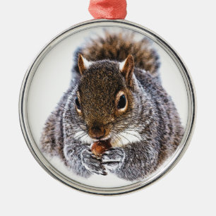 Eating Squirrel Julgransprydnad Metall