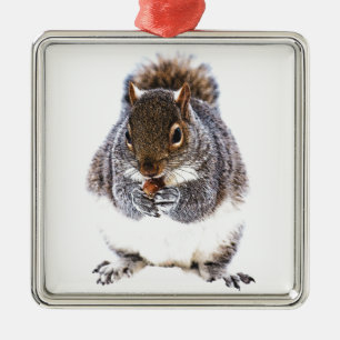 Eating Squirrel Julgransprydnad Metall