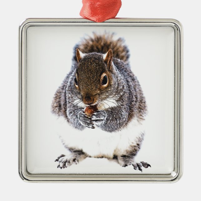 Eating Squirrel Julgransprydnad Metall (Framsidan)