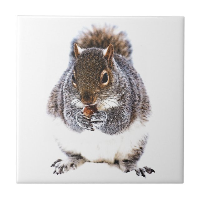 Eating Squirrel Kakelplatta (Framsidan)