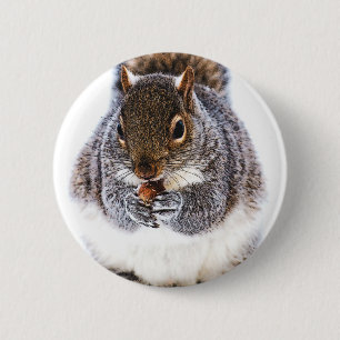 Eating Squirrel Knapp