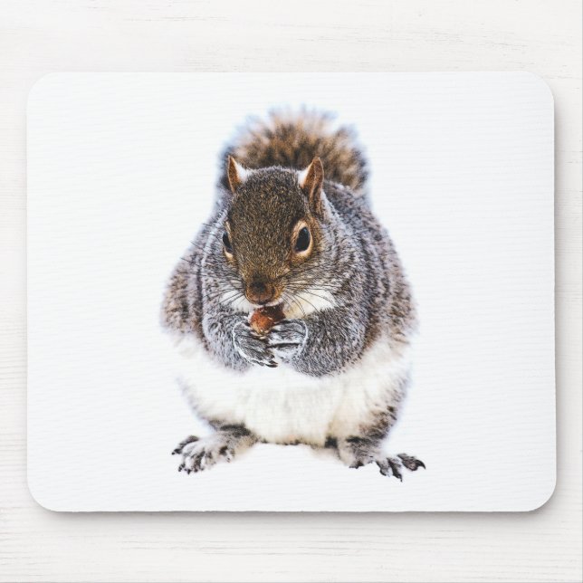 Eating Squirrel Musmatta (Framsidan)