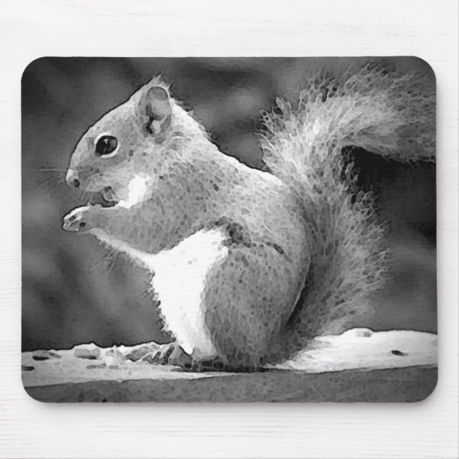 Eating Squirrel Musmatta (Framsidan)