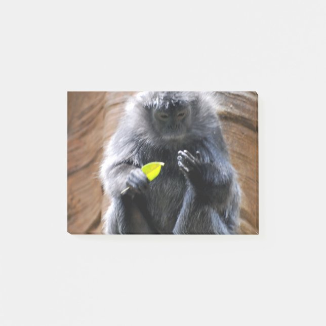 Ebenholtssvart Langur Post-it Block (Framsida)