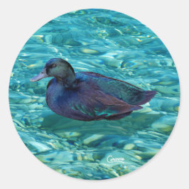 Ebony Anka - Kuvert Stickers Runt Klistermärke