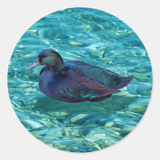 Ebony Anka - Kuvert Stickers Runt Klistermärke (Framsida)