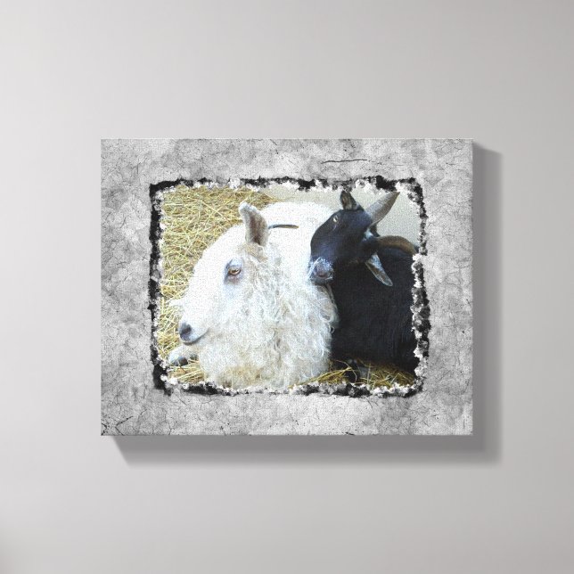 Ebony och Ivory Goat Buddies Canvastryck (Framsida)
