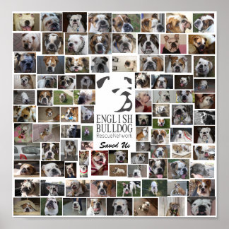 EBRN-Rädding Poster