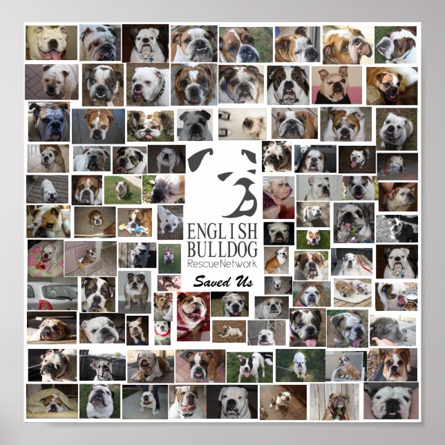 EBRN-Rädding Poster (Framsidan)