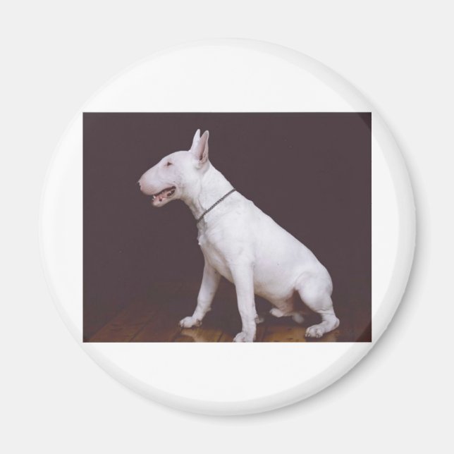 EBT MAGNET (Framsidan)