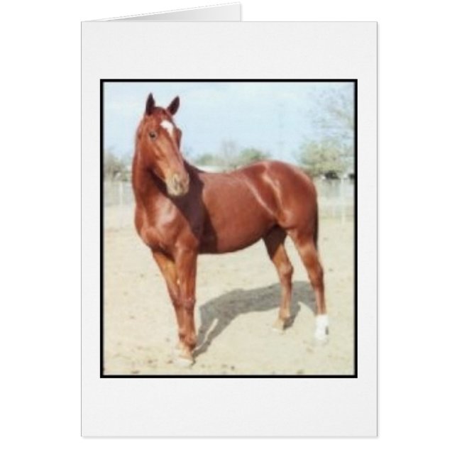 EC Dream Hälsningskort (Framsidan)