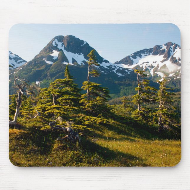 Eccles nära Cordova, Alaska Musmatta (Framsidan)