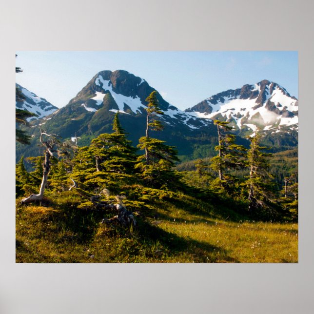 Eccles nära Cordova, Alaska Poster (Framsidan)