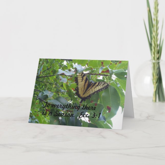 Ecclesiastas 3:1 På allt som finns en säsong Kort (Framsida)