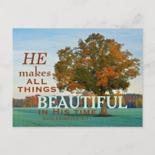 Ecclesiastes 3:11 All sak vackra vykort