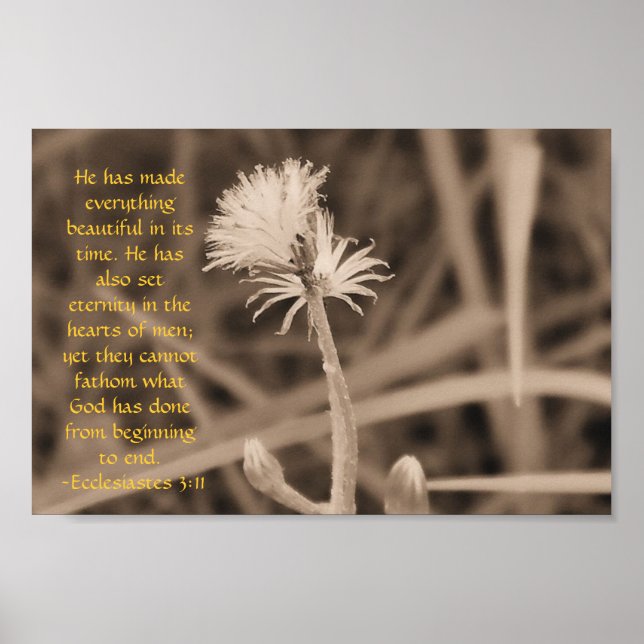 Ecclesiastes 3:11 skriver ut i sepiaton poster (Framsidan)