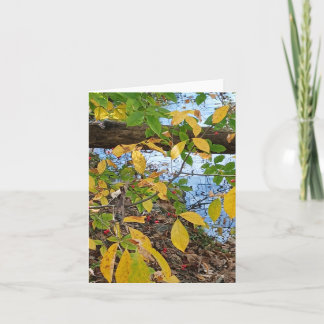 Ecclesiastes 3:1  kort