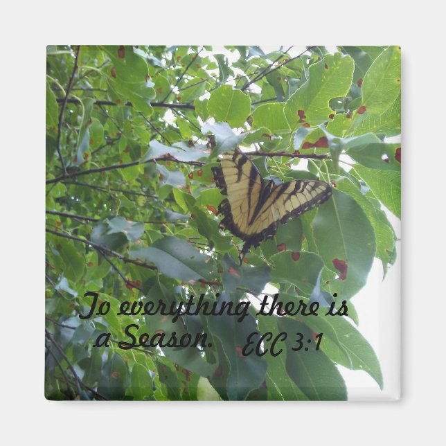 Ecclesiastes 3:1 På allt där finns en säsong Magnet (Framsidan)