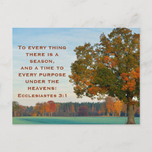 Ecclesiastes 3:1 till allt där det finns en säsong vykort