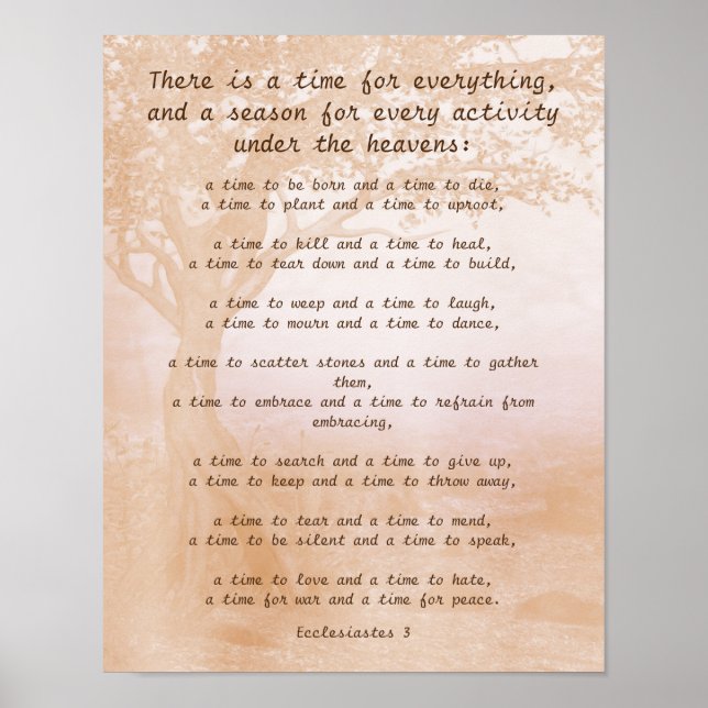 Ecclesiastes 3 Bible Verse Poster (Framsidan)