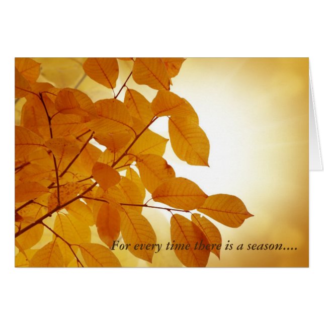 Ecclesiastes 3 Season Comforting Hälsningskort (Framsidan Horizontal)