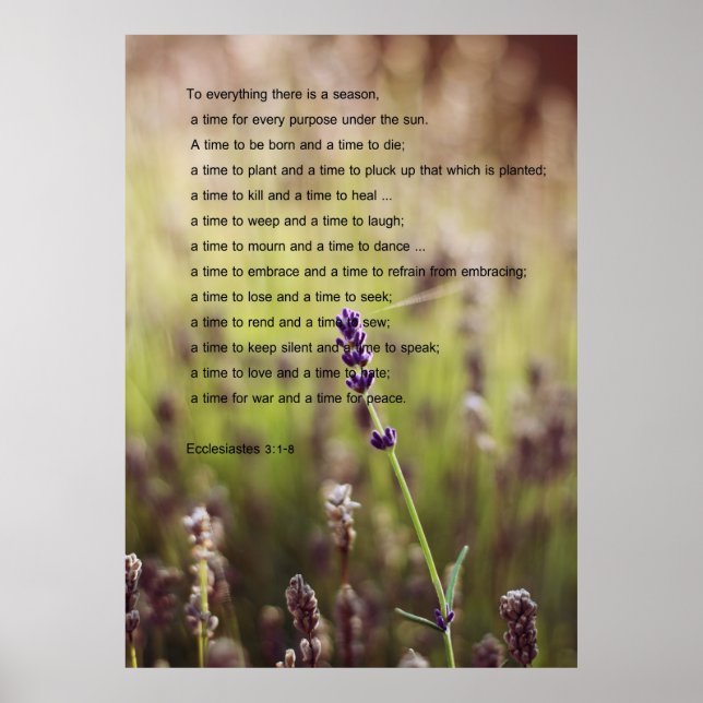 Ecclesiastes Verse Poster (Framsidan)