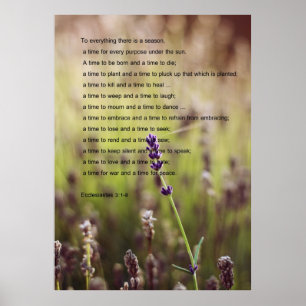 Ecclesiastes Verseaffisch Poster