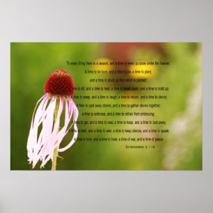 Ecclesiastes Versesaffisch Poster