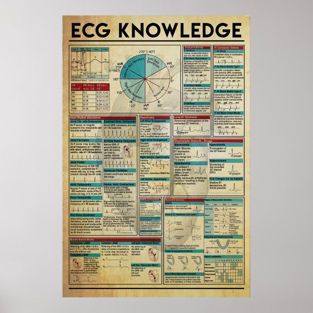 ECG Knowledge Poster, Cardiology Knowledge Poster (Framsidan)