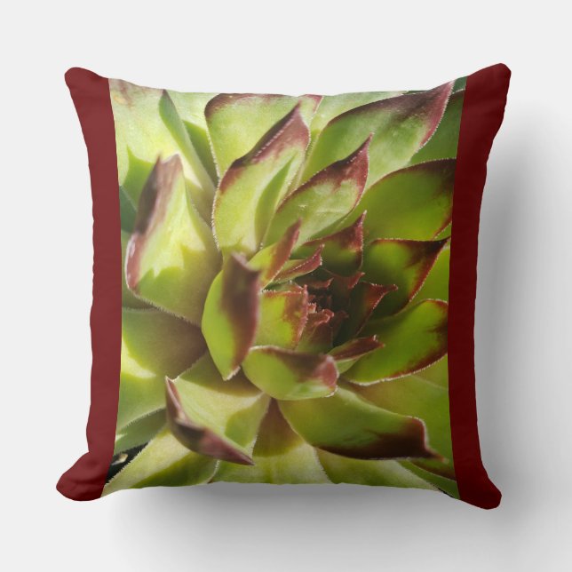 Echeveria Agavoides Pillow Kudde (Framsida)