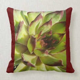 Echeveria Agavoides Pillow Kudde