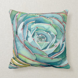 Echeveria dekorativ kudde