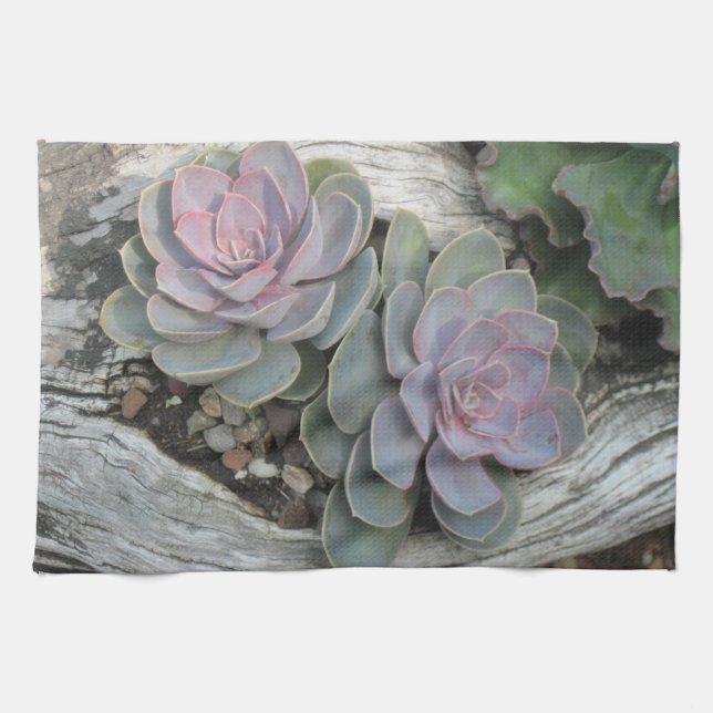 Echeveria Dish Towel Kökshandduk (Horisontell)