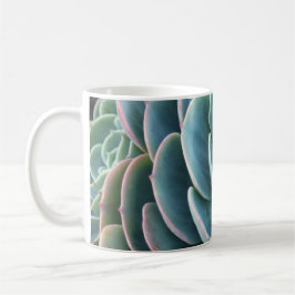Echeveria kaffemugg