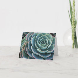 Echeveria notecard kort