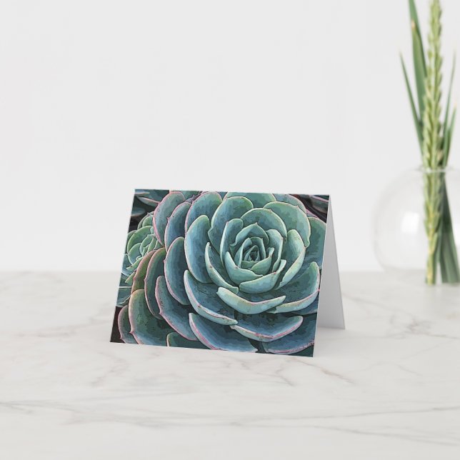 Echeveria notecard kort (Framsida)