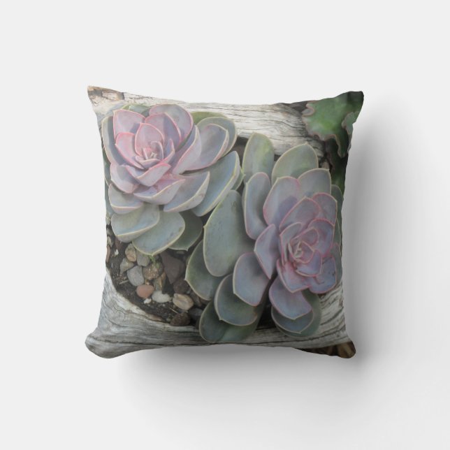 Echeveria Pillow Kudde (Framsida)