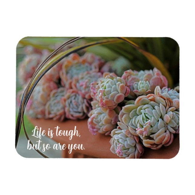 Echeveria Ro Succulent Life är Tuff Magnet (Horisontell)
