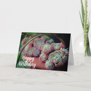 Echeveria Ro Succulent Poted Plant Birthday Kort