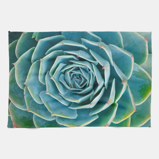 Echeveria Rosett, Marrakechs hemliga trädgård Kökshandduk (Horisontell)
