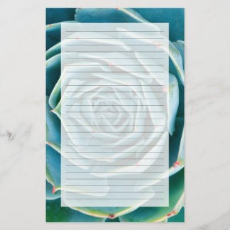 Echeveria Rosett, Secret Garden of Marrakech Brevpapper