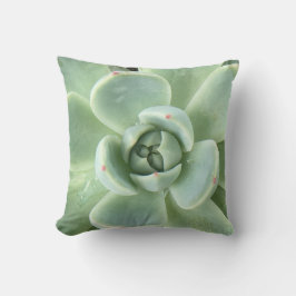 Echeveria Succulent Kudde