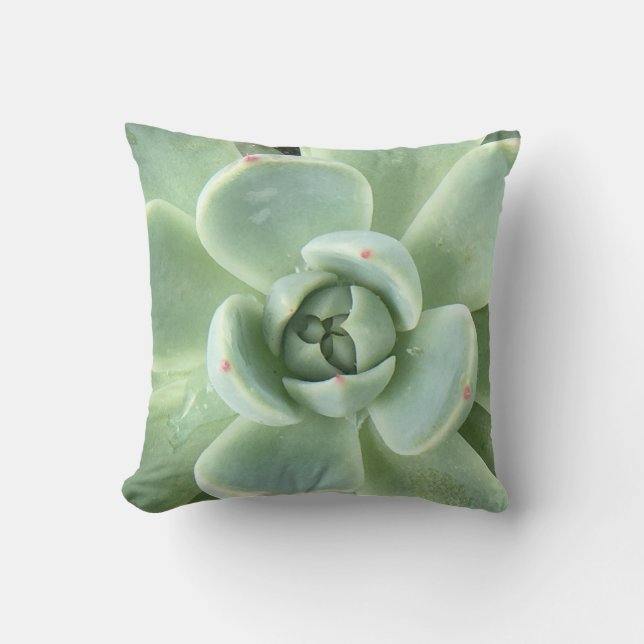 Echeveria Succulent Kudde (Framsida)
