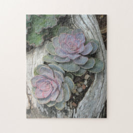 Echeveria Succulent Puzzle Pussel