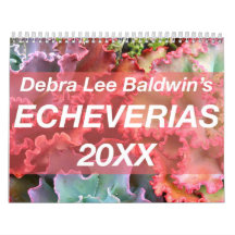 Echeverias 20XX Calendar av Debra Lee Baldwin