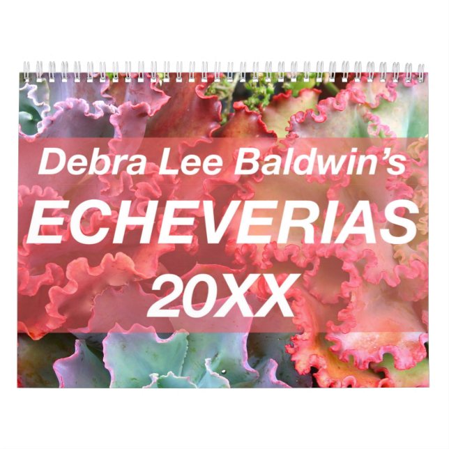 Echeverias 20XX Calendar av Debra Lee Baldwin Kalender (Omslag)